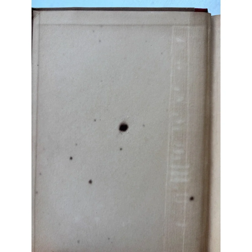 McGuffey's Fifth Eclectic Reader Revised Edition 1920 American Book Company Hard